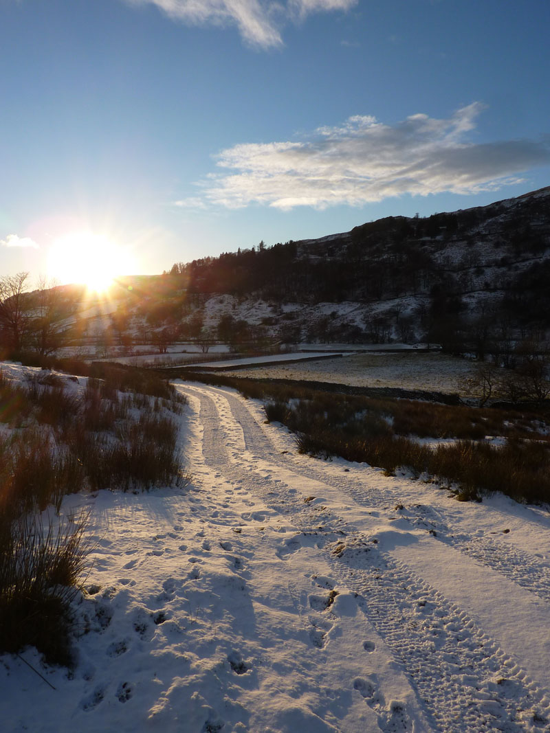 Trout Beck